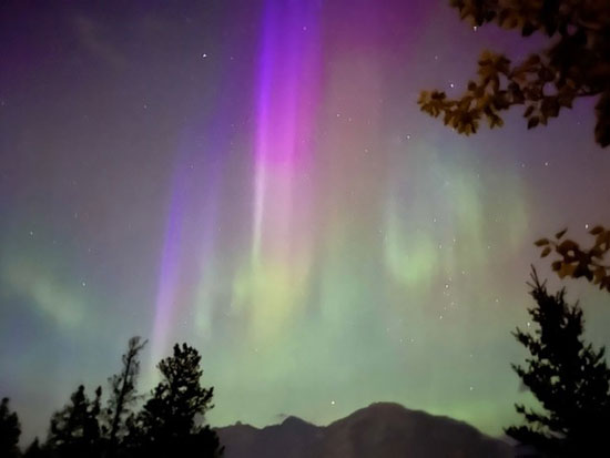 northern lights purple and green