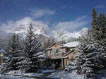 off our rockies in the snow